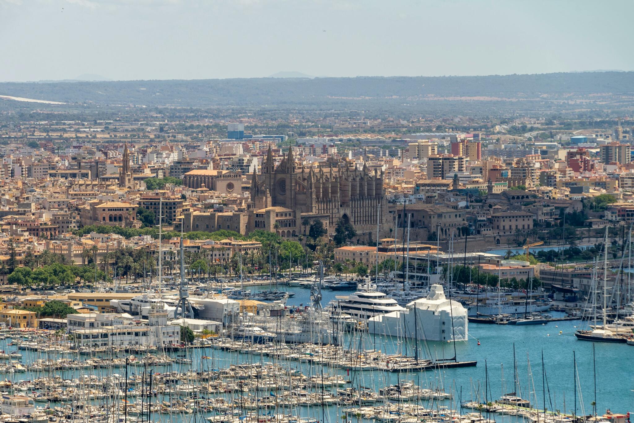 A view over the marina and the cathedral of Palma