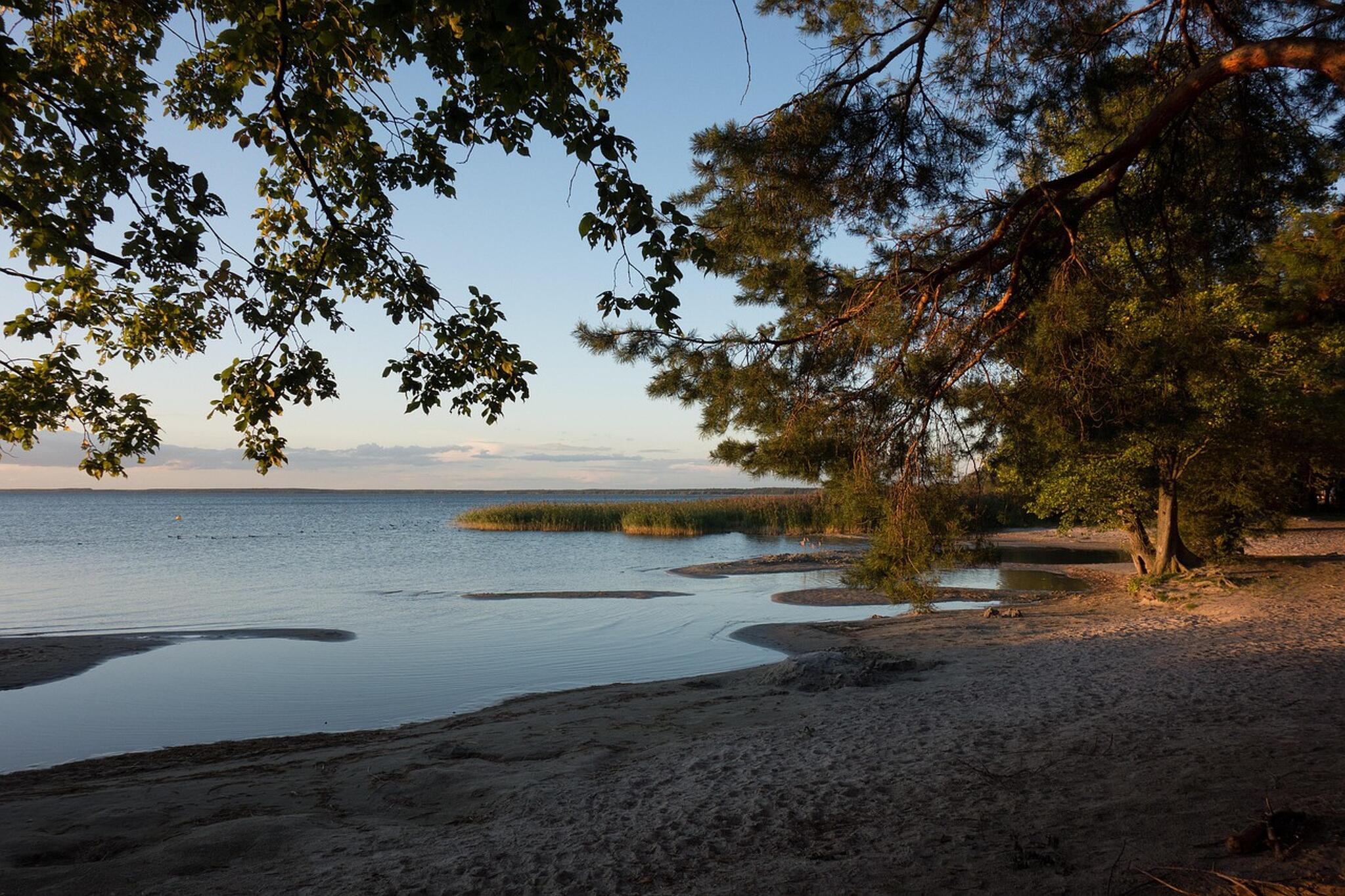 Müritz